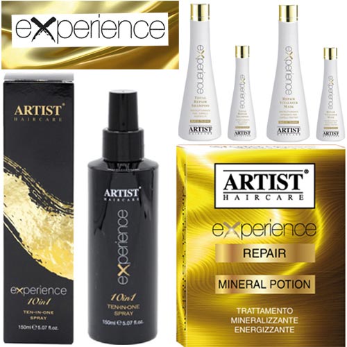 EXPERIENCE TOTAL REPAIR ARTIST Behandlungen  Haarpflege