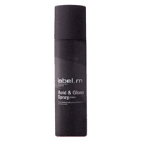 HOLD & GLOSS SPRAY LABEL.M Prodotti speciali 