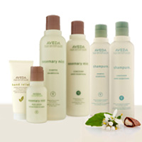 ROSEMARY MINT & SHAMPURE AVEDA Trattamenti  cure 